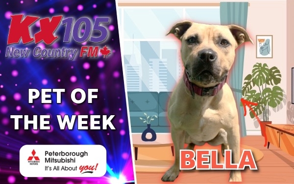 Pet of The Week - Bella